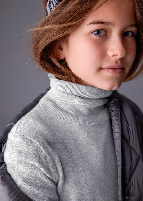 Cisne tricot basico           Plata