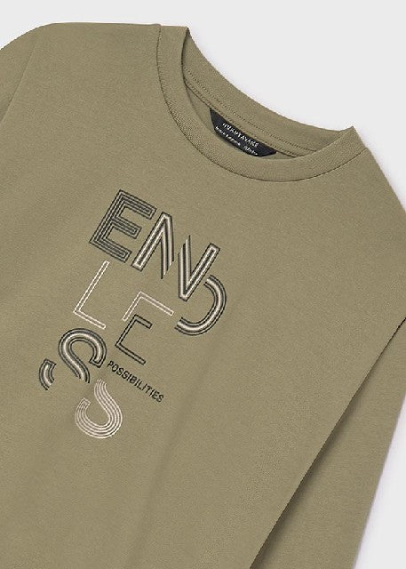 Camiseta m/l basica           Pesto