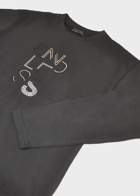 Camiseta m/l basica           Sombra