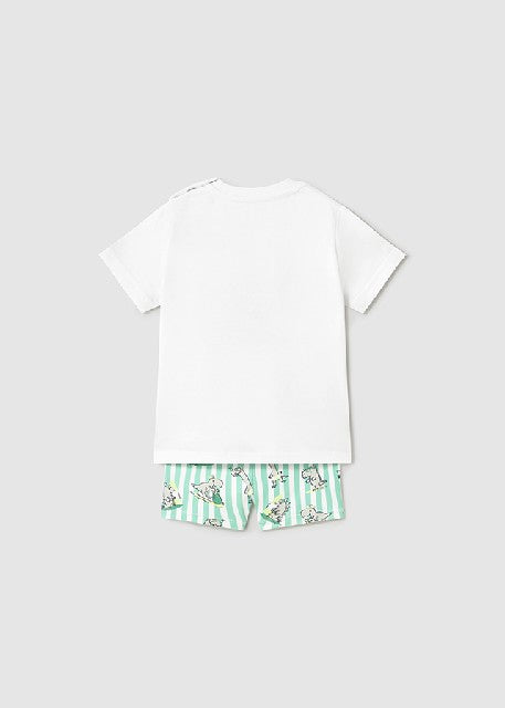 Conj. bañador camiseta