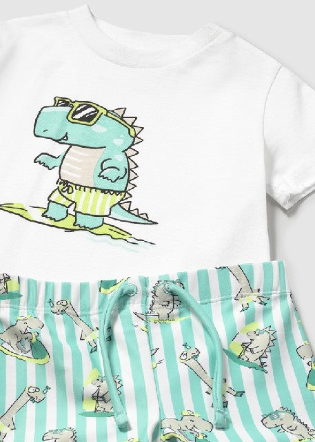 Conj. bañador camiseta
