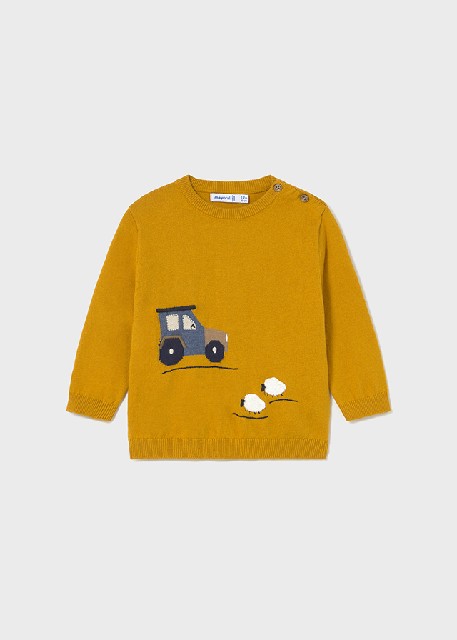 Jersey intarsia               Ocre
