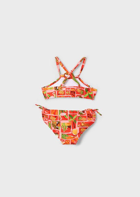 Bikini bolitas