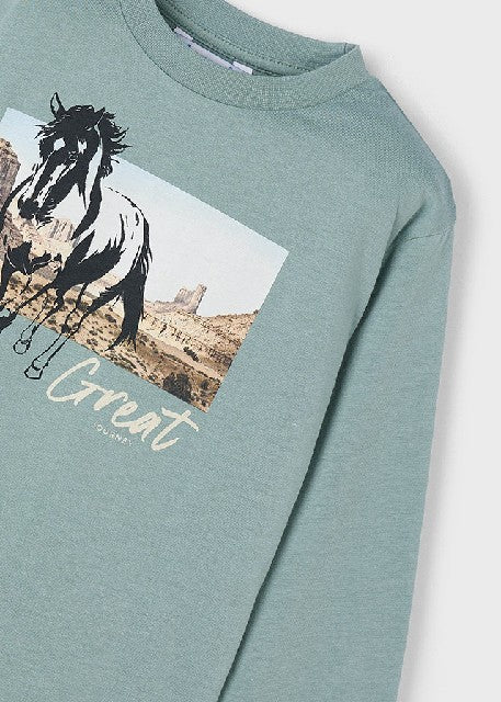 Camiseta m/l caballo          Glaciar