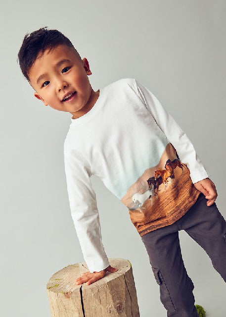 Camiseta m/l posicionado      Caballos