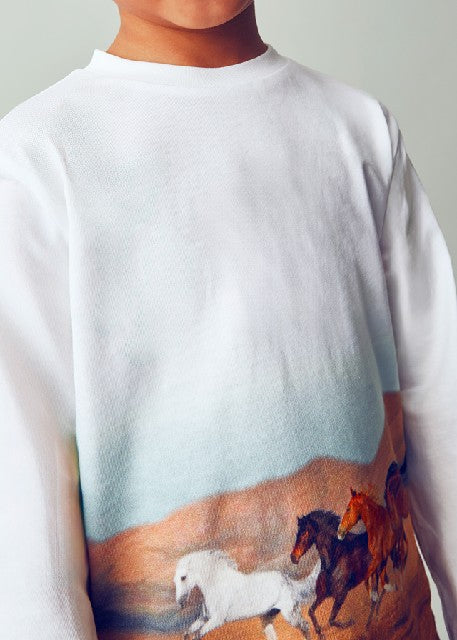 Camiseta m/l posicionado      Caballos