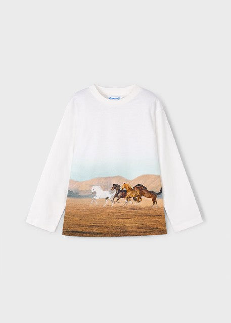Camiseta m/l posicionado      Caballos