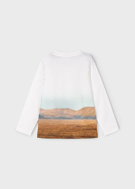 Camiseta m/l posicionado      Caballos