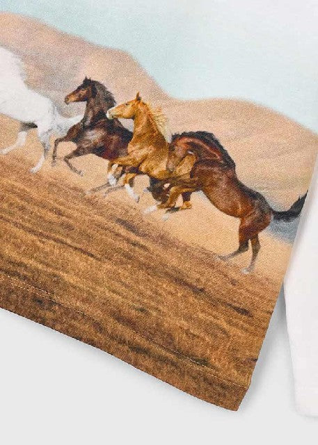 Camiseta m/l posicionado      Caballos