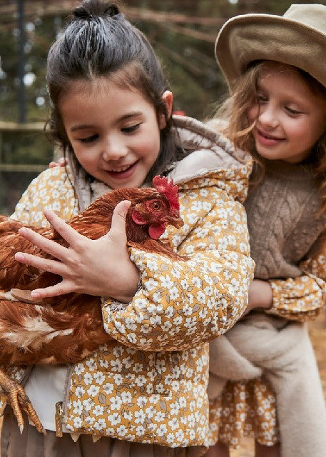 Chaqueton reversible          Topo