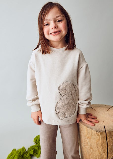 Conj. pullover leggings       Arena