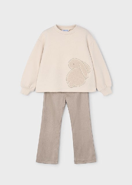 Conj. pullover leggings       Arena