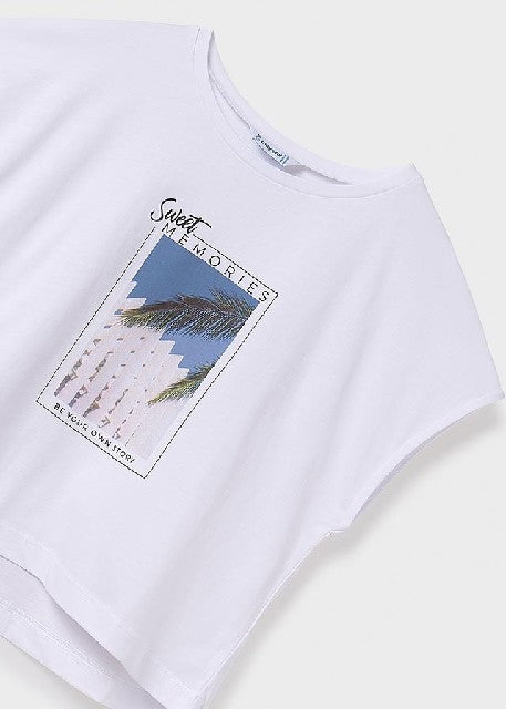 Camiseta m/c grafica