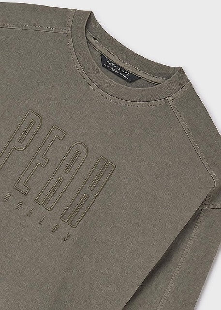 Camiseta m/l aplique bordado  Lodo