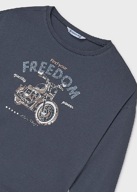 Camiseta m/l grafica          Petroleo