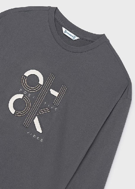 Camiseta m/l ok               Plomo