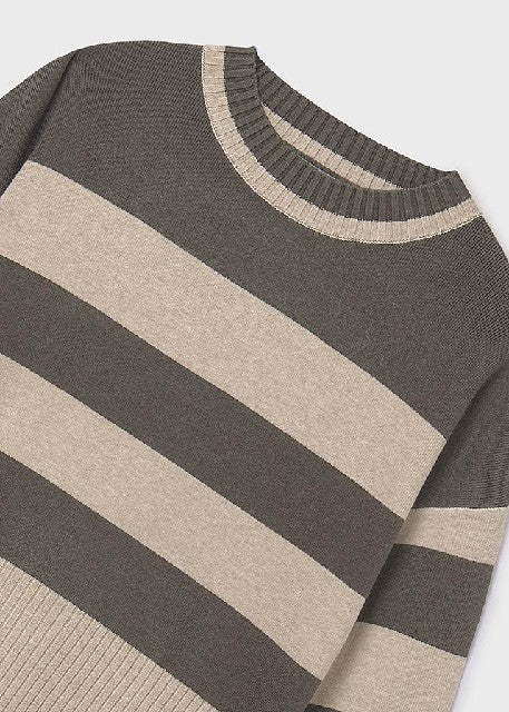 Jersey rayas                  Caza