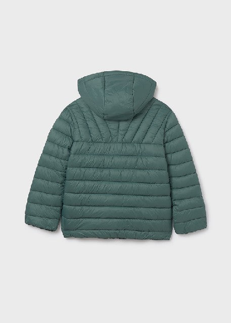 Chaqueton acolchado ligero    Pino