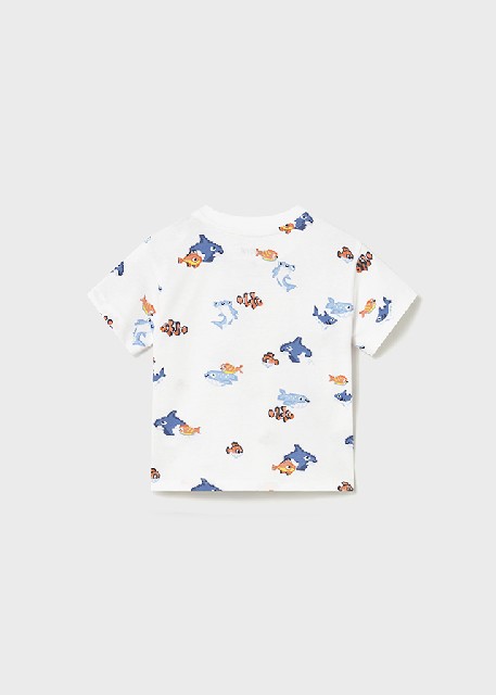 Set dos camisetas m/c         Celeste