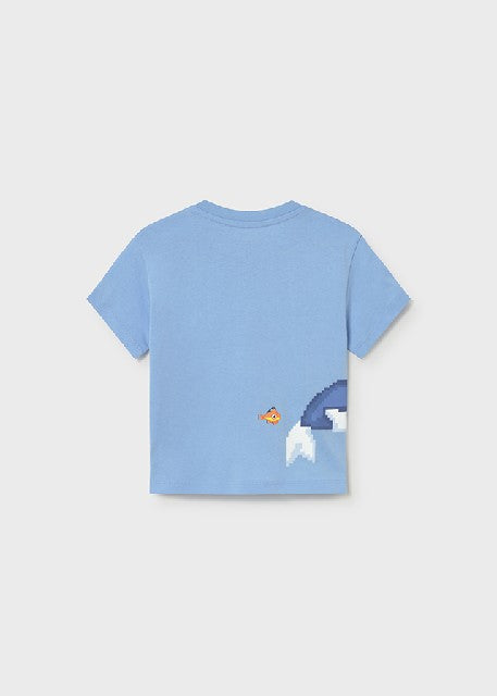 Camiseta m/c posicionada      Celeste
