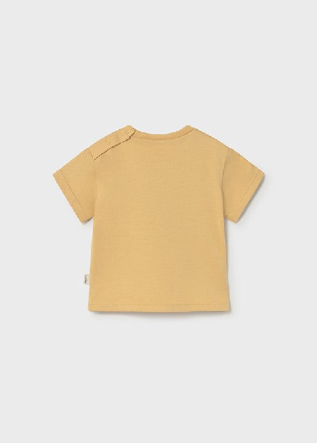 Camiseta m/c                  Miel