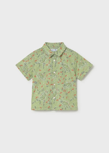 Camisa m/c estampada          Matcha