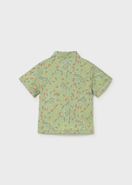 Camisa m/c estampada          Matcha