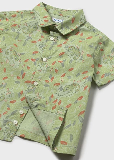 Camisa m/c estampada          Matcha