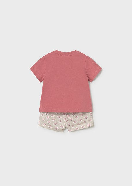 Conj. pantalon corto y polo   Terracota