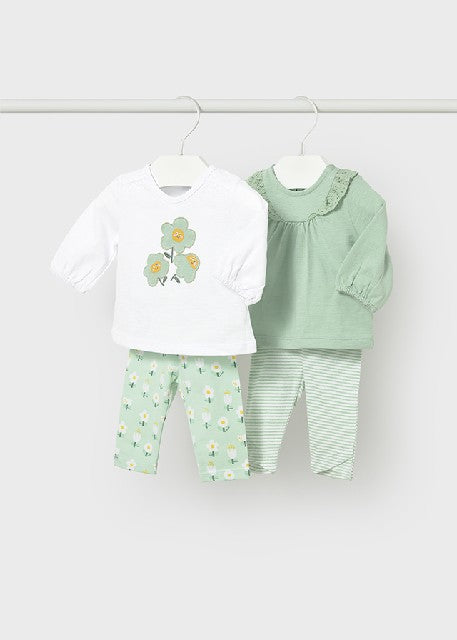 Conj. leggings 4 m/l          Alga