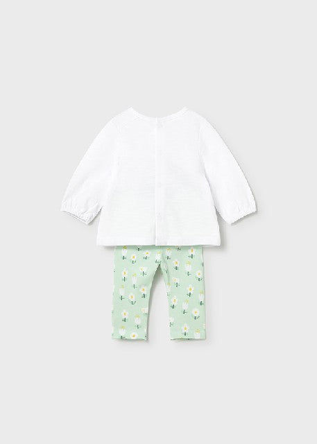 Conj. leggings 4 m/l          Alga