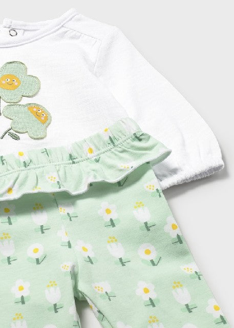 Conj. leggings 4 m/l          Alga