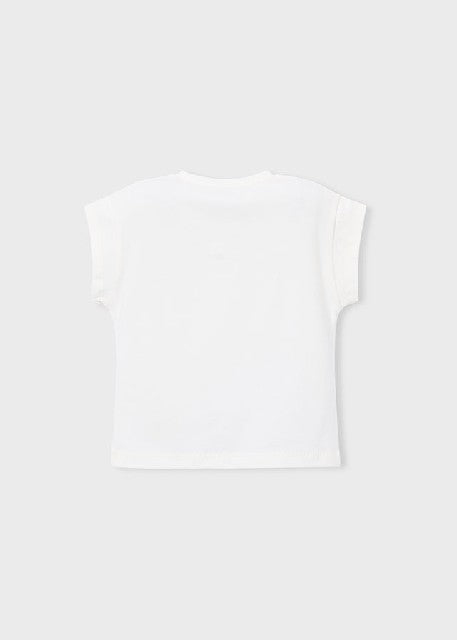 Camiseta m/c                  Crd-porcel