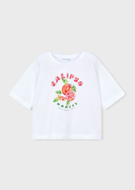 Camiseta m/c                  Bco-persim