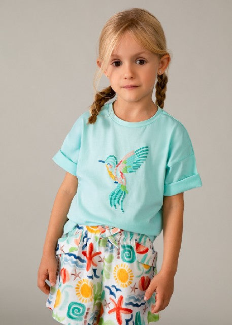 Camiseta m/c                  Anis