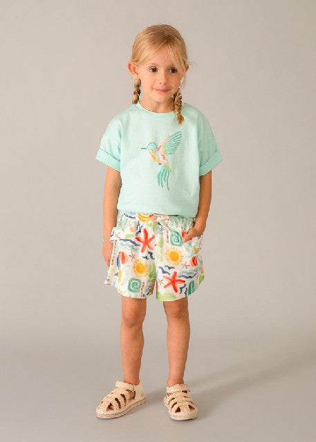 Camiseta m/c                  Anis
