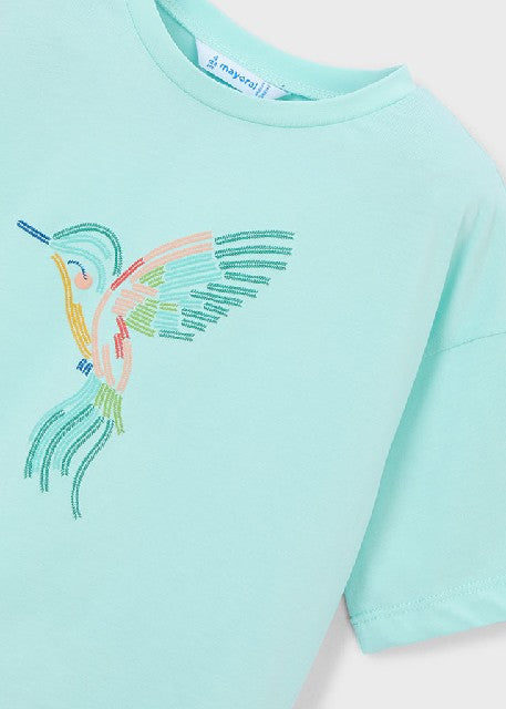 Camiseta m/c                  Anis