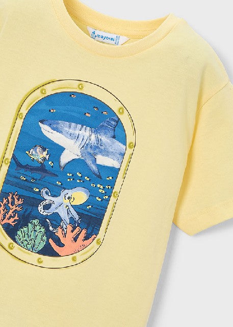 Camiseta m/c ventana          Lemon