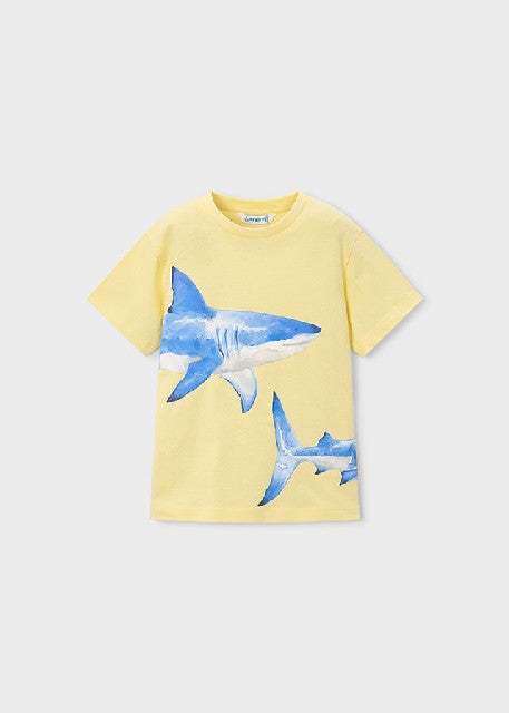 Camiseta m/c posicionado      Lemon