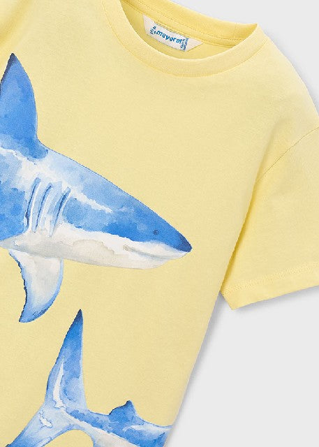 Camiseta m/c posicionado      Lemon