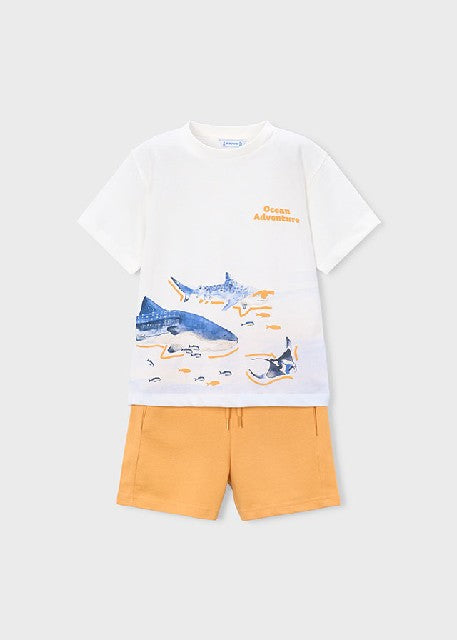 Conj. punto tiburones         Peach