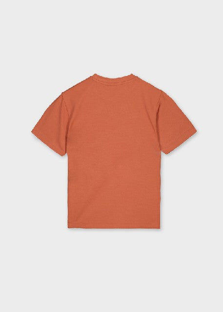 Camiseta m/c formal           Siena