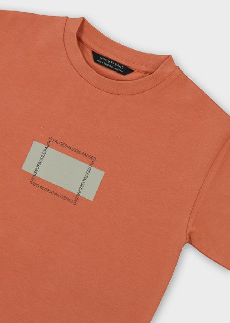 Camiseta m/c formal           Siena