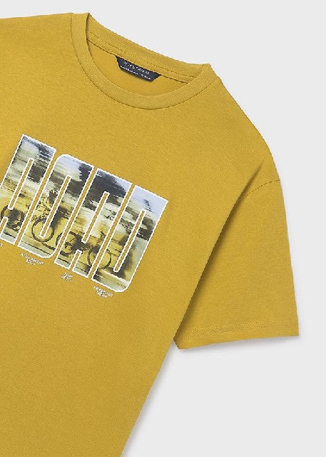 Camiseta m/c print            Cadmio